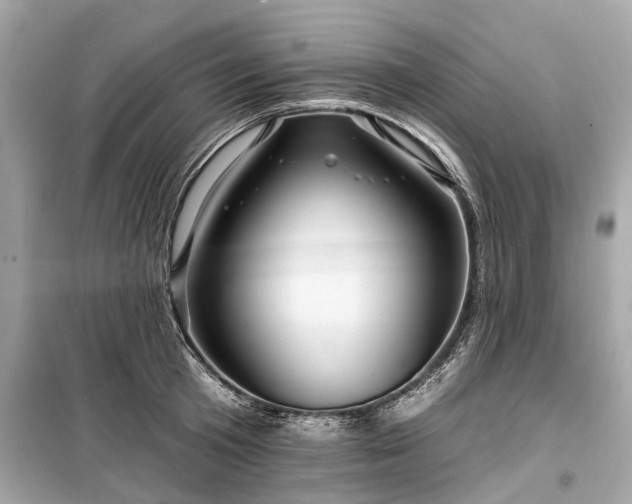 X0000099420801200805161044