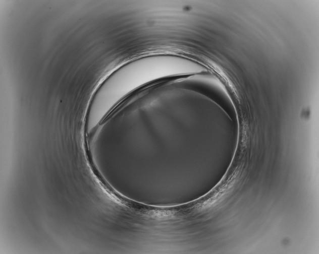 X0000099420802200805161044