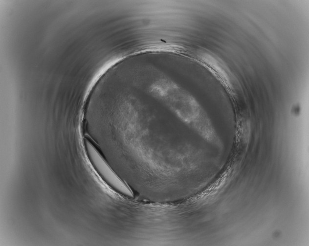 X0000099420804200805161044
