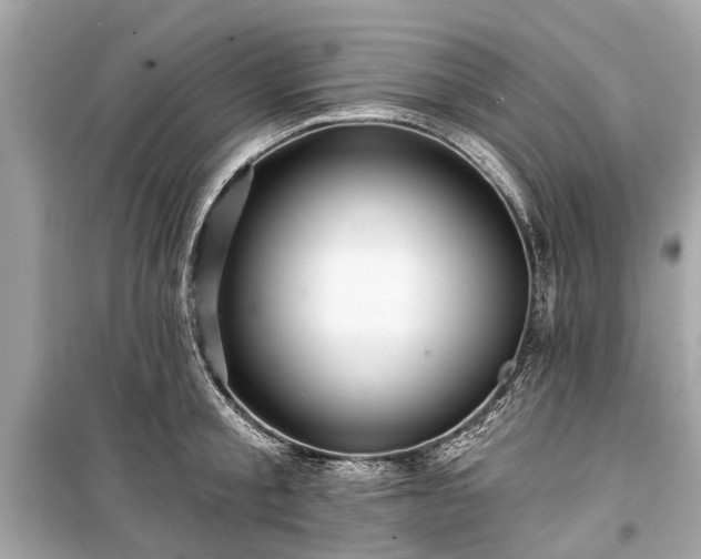 X0000099420805200805161044