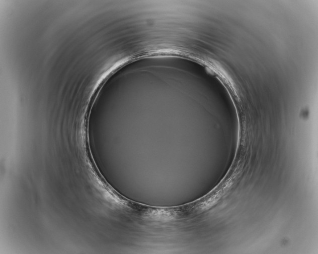 X0000099420806200805161044