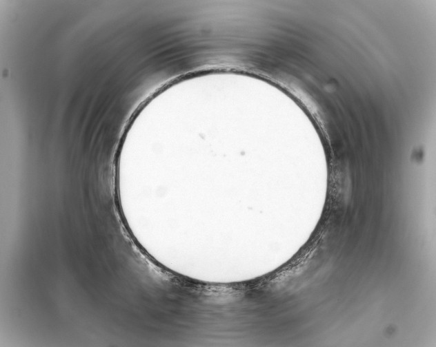 X0000099420807200805161044