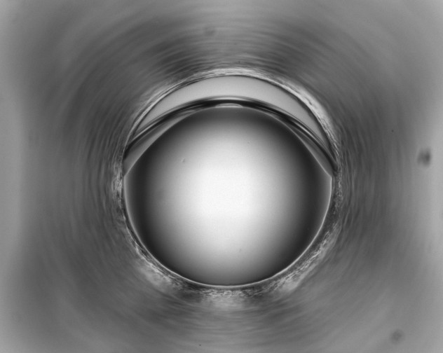 X0000099420809200805161044