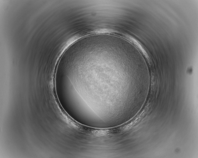 X0000099420810200805161044