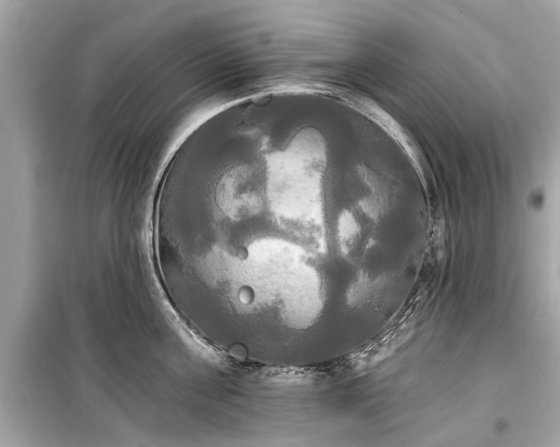 X0000099420811200805161044