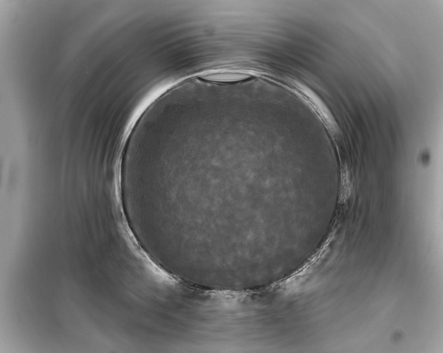 X0000099420812200805161044
