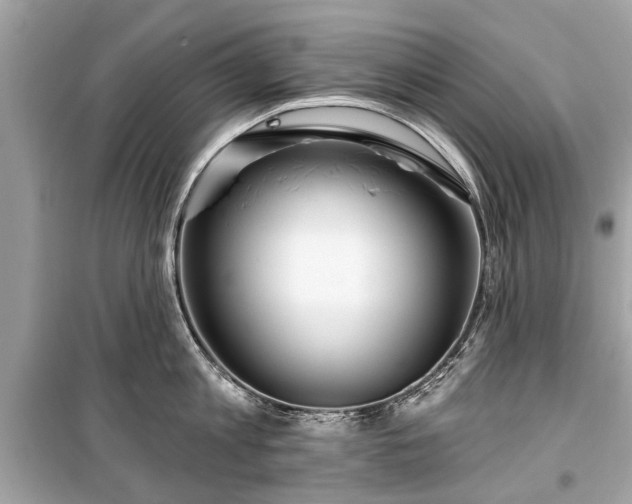 X0000099420813200805161044