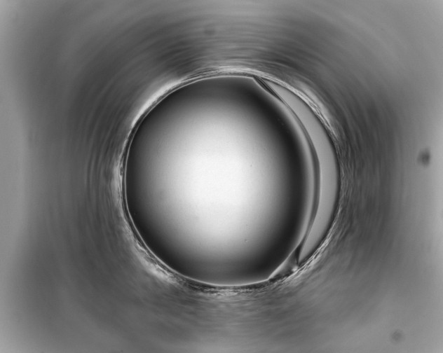 X0000099420814200805161044