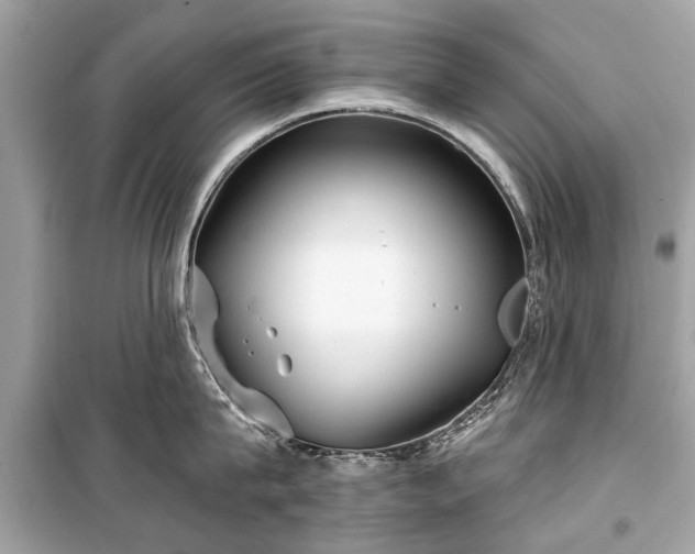 X0000099420815200805161044