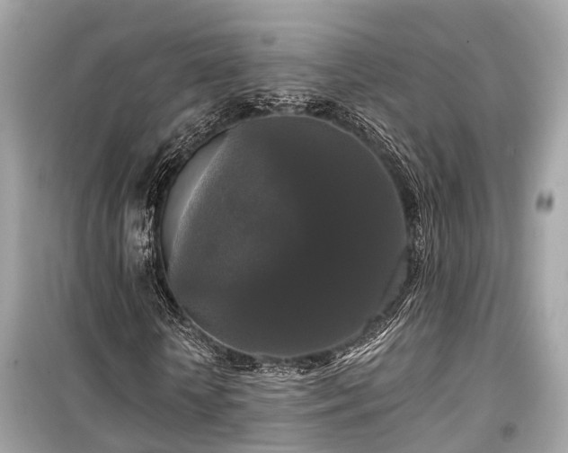 X0000099420818200805161043