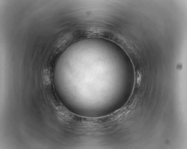 X0000099420819200805161043