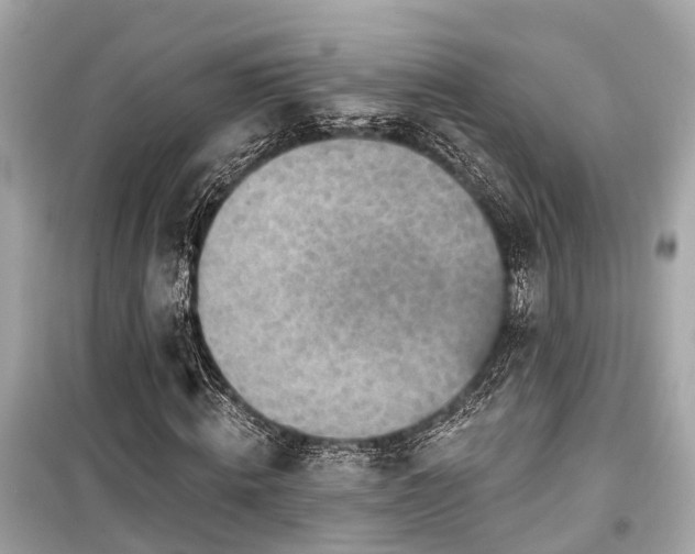 X0000099420820200805161043