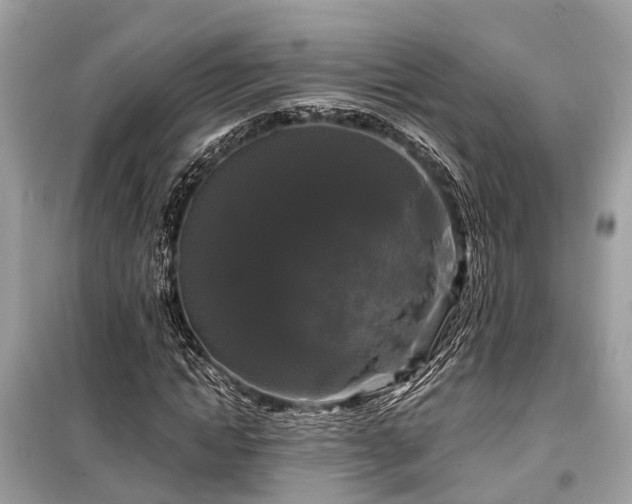 X0000099420822200805161043
