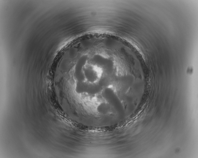 X0000099420823200805161043