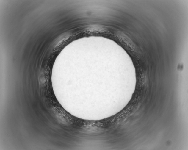 X0000099420824200805161043