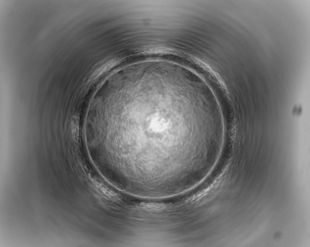 X0000099420825200805161043