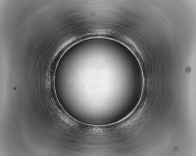 X0000099420827200805161043