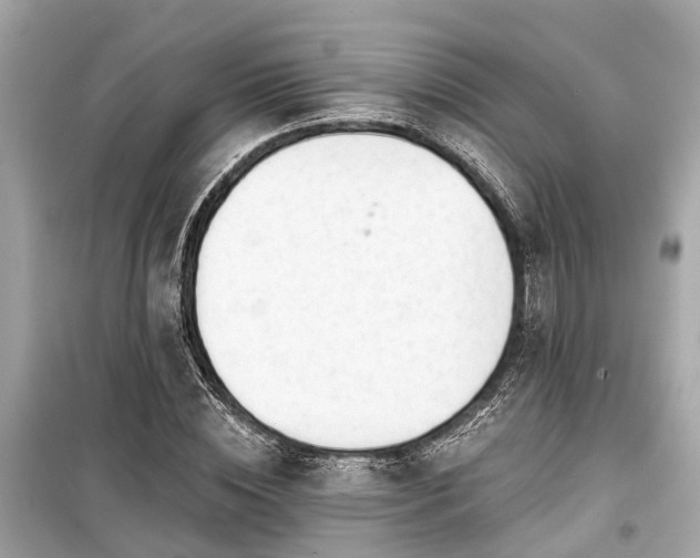 X0000099420828200805161044