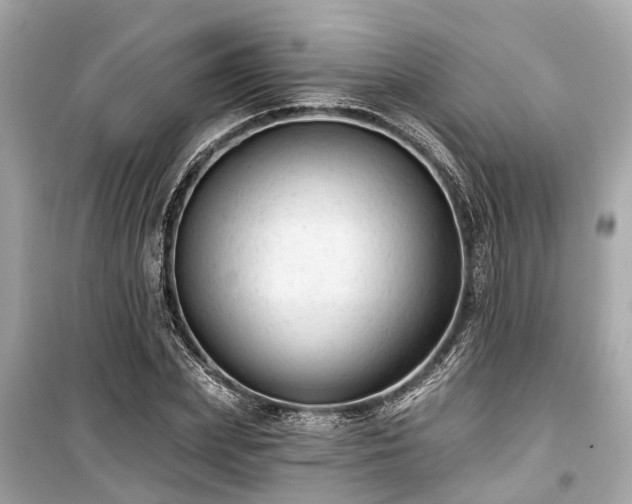 X0000099420831200805161044