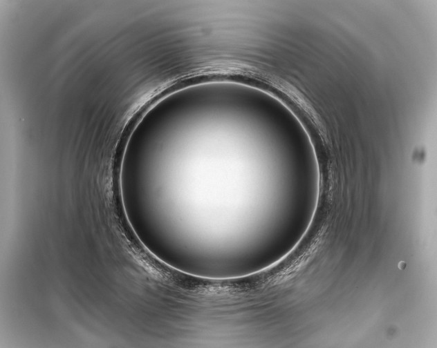 X0000099420834200805161044