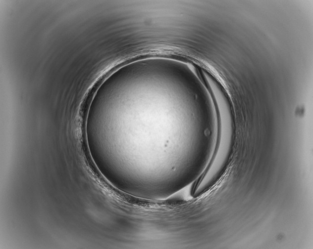 X0000099420835200805161044