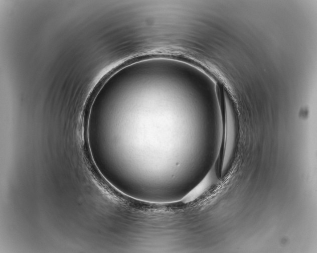 X0000099420838200805161044