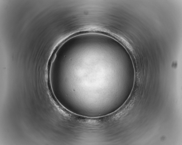 X0000099420839200805161044