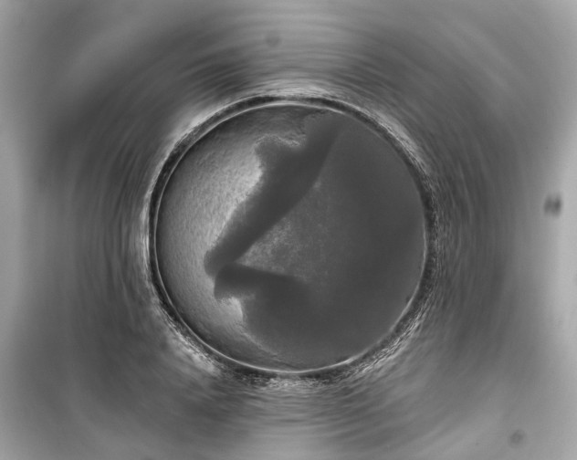 X0000099420840200805161044