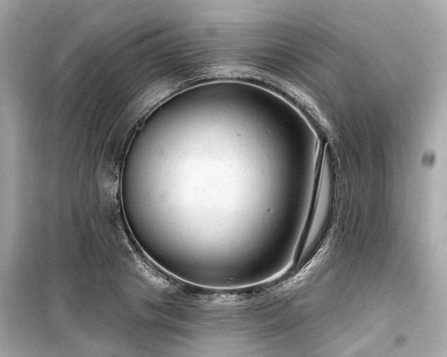 X0000099420841200805161044