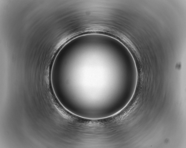 X0000099420842200805161044