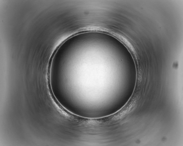 X0000099420847200805161044