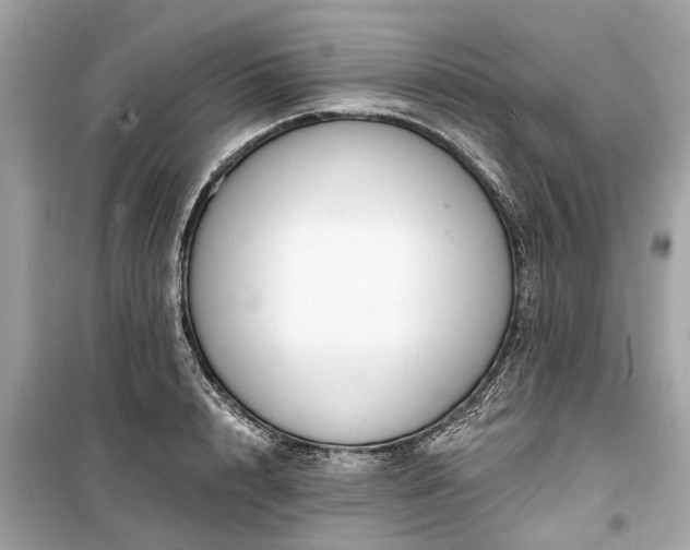X0000099420848200805161044