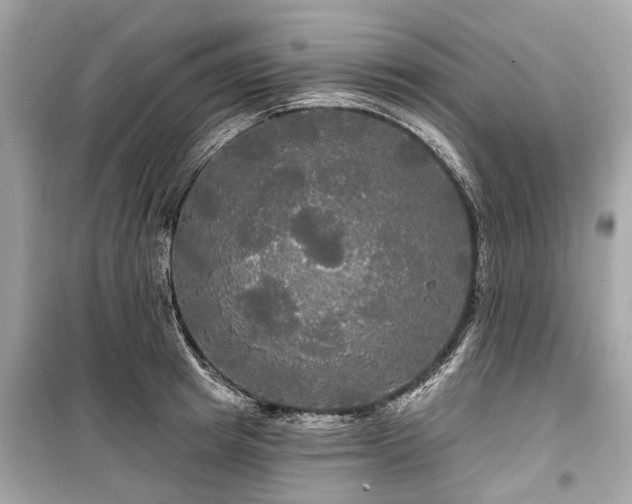 X0000099420849200805161044