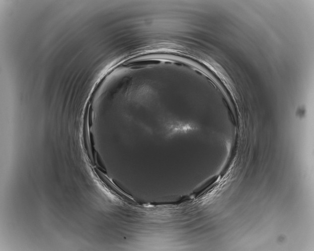 X0000099420850200805161044