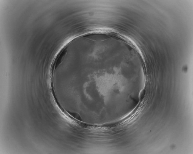 X0000099420851200805161044