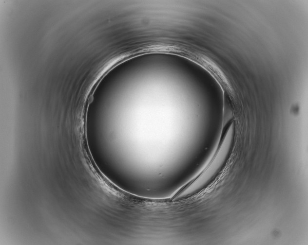 X0000099420852200805161044