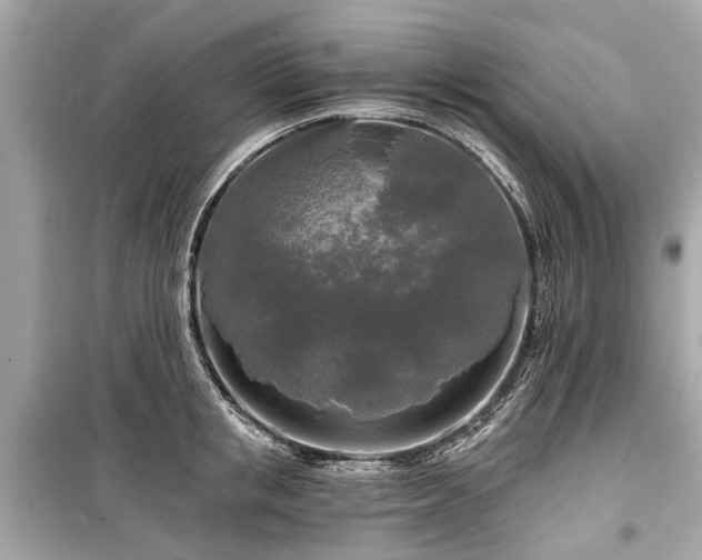 X0000099420853200805161044