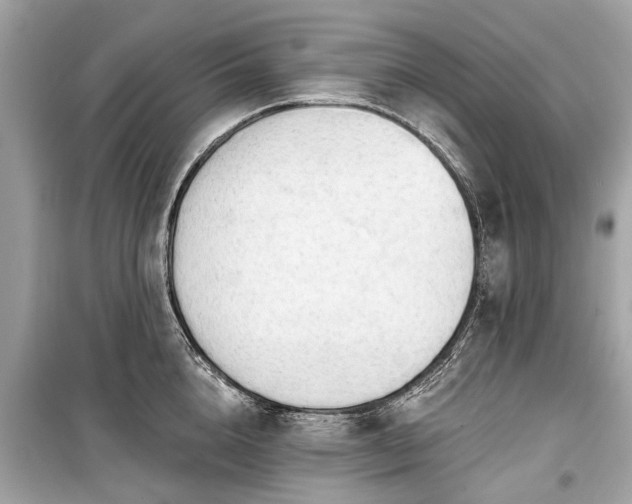 X0000099420856200805161044