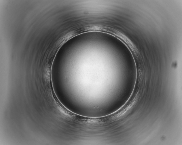 X0000099420857200805161044