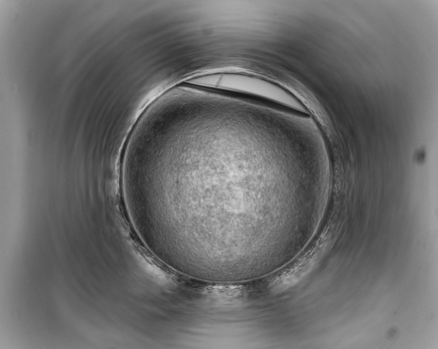 X0000099420858200805161044