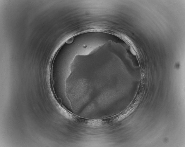 X0000099420859200805161044