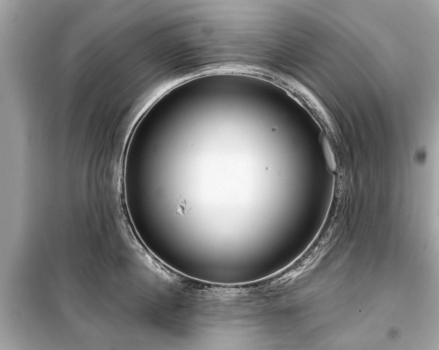 X0000099420860200805161044