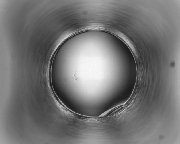 X0000099420861200805161044