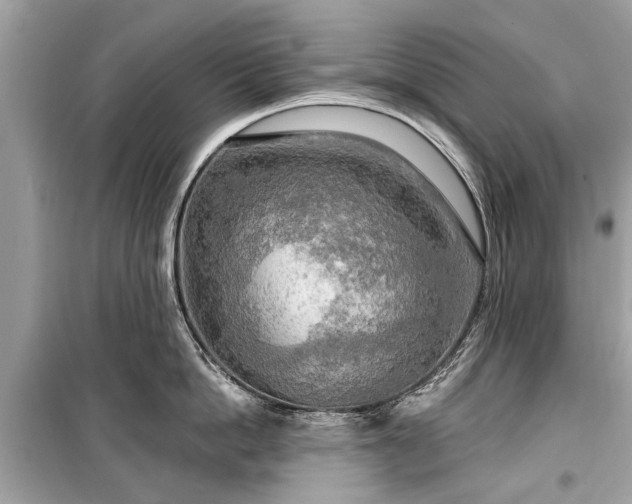 X0000099420862200805161044
