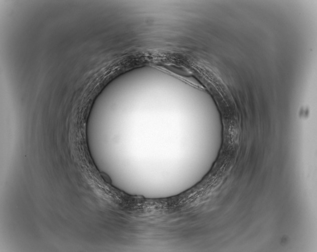 X0000099420865200805161043