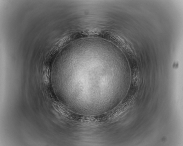 X0000099420866200805161043