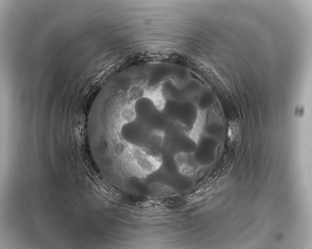 X0000099420867200805161043