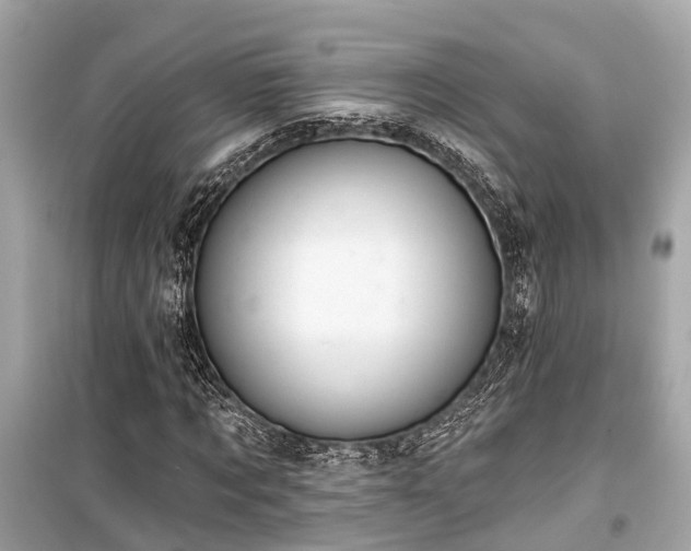 X0000099420869200805161043