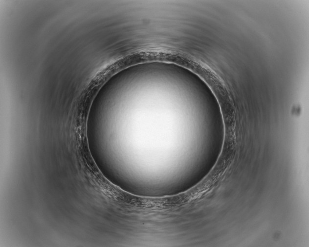 X0000099420870200805161043