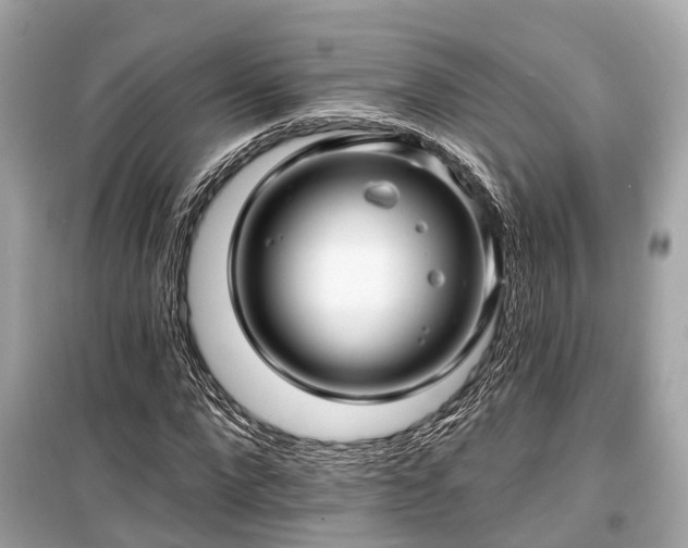 X0000099420872200805161043